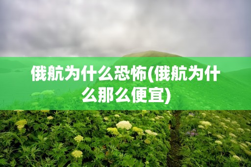俄航为什么恐怖(俄航为什么那么便宜)