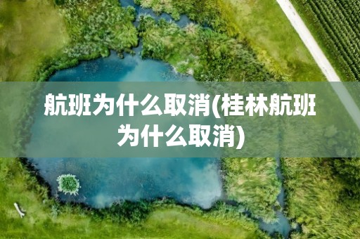 航班为什么取消(桂林航班为什么取消)