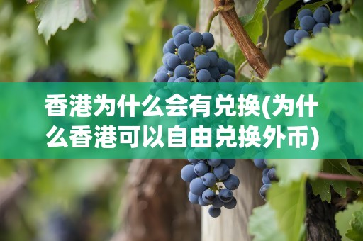 香港为什么会有兑换(为什么香港可以自由兑换外币)
