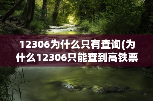 12306为什么只有查询(为什么12306只能查到高铁票查不到火车票)