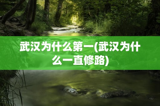 武汉为什么第一(武汉为什么一直修路)