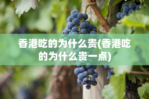 香港吃的为什么贵(香港吃的为什么贵一点)