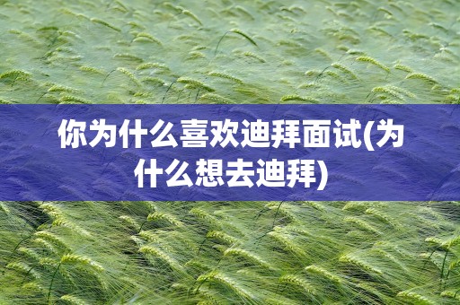 你为什么喜欢迪拜面试(为什么想去迪拜)