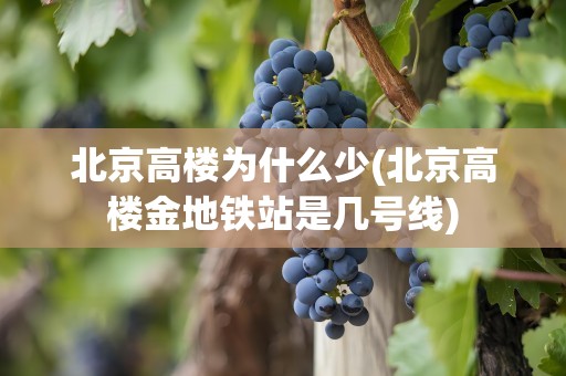 北京高楼为什么少(北京高楼金地铁站是几号线)