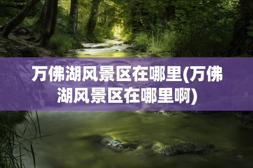 万佛湖风景区在哪里(万佛湖风景区在哪里啊)