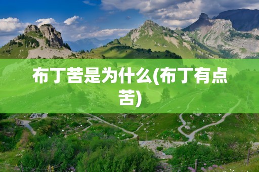 布丁苦是为什么(布丁有点苦)