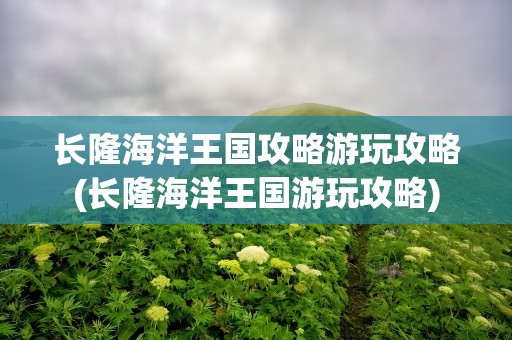 长隆海洋王国攻略游玩攻略(长隆海洋王国游玩攻略)