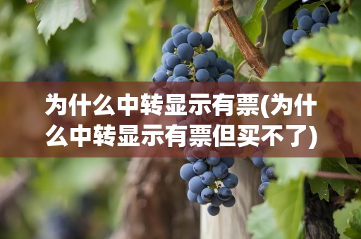 为什么中转显示有票(为什么中转显示有票但买不了)