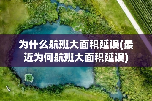 为什么航班大面积延误(最近为何航班大面积延误)