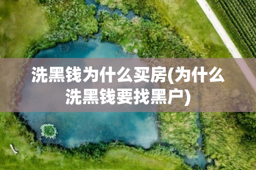 洗黑钱为什么买房(为什么洗黑钱要找黑户)
