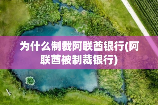 为什么制裁阿联酋银行(阿联酋被制裁银行)