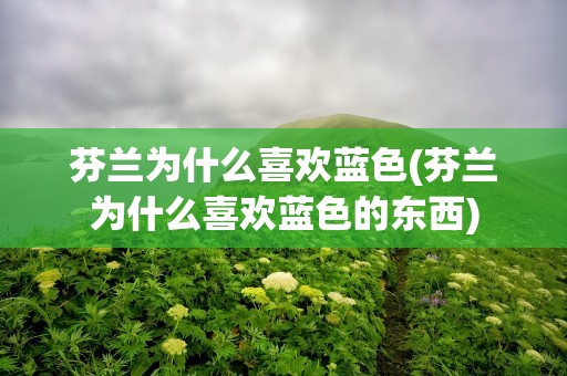 芬兰为什么喜欢蓝色(芬兰为什么喜欢蓝色的东西)