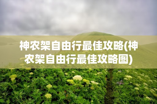 神农架自由行最佳攻略(神农架自由行最佳攻略图)