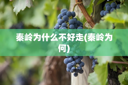 秦岭为什么不好走(秦岭为何)