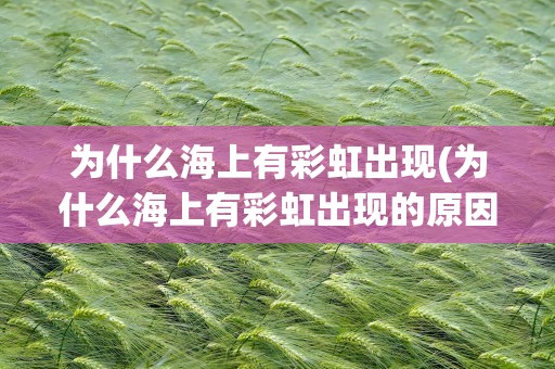 为什么海上有彩虹出现(为什么海上有彩虹出现的原因)
