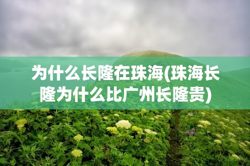 为什么长隆在珠海(珠海长隆为什么比广州长隆贵)