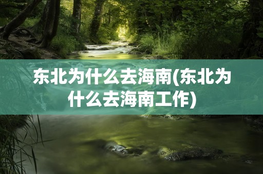 东北为什么去海南(东北为什么去海南工作)