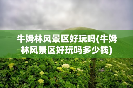牛姆林风景区好玩吗(牛姆林风景区好玩吗多少钱)