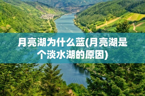 月亮湖为什么蓝(月亮湖是个淡水湖的原因)