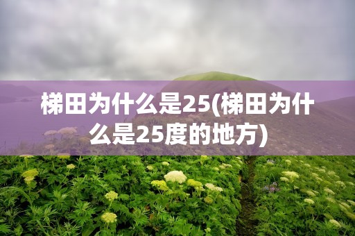 梯田为什么是25(梯田为什么是25度的地方)