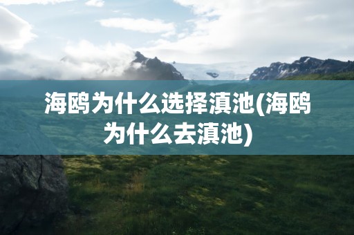 海鸥为什么选择滇池(海鸥为什么去滇池)
