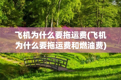 飞机为什么要拖运费(飞机为什么要拖运费和燃油费)