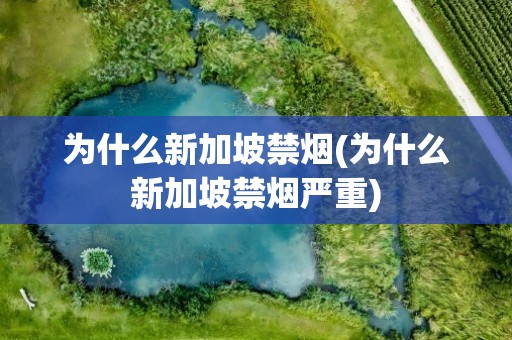 为什么新加坡禁烟(为什么新加坡禁烟严重)
