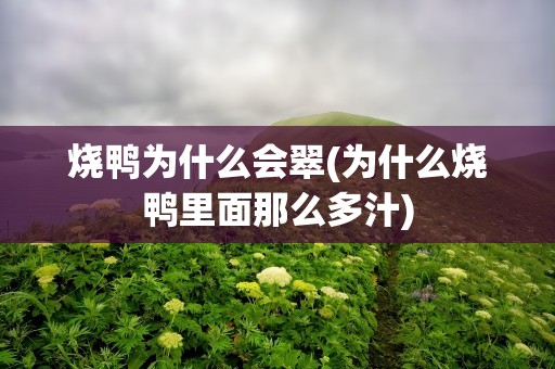 烧鸭为什么会翠(为什么烧鸭里面那么多汁)