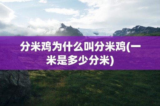 分米鸡为什么叫分米鸡(一米是多少分米)