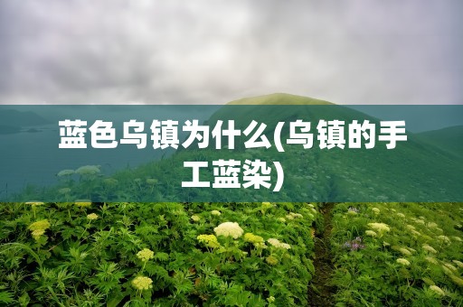 蓝色乌镇为什么(乌镇的手工蓝染)