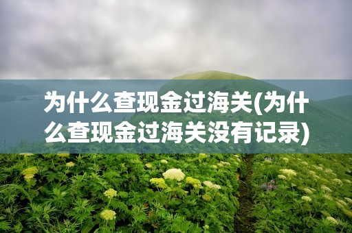 为什么查现金过海关(为什么查现金过海关没有记录)