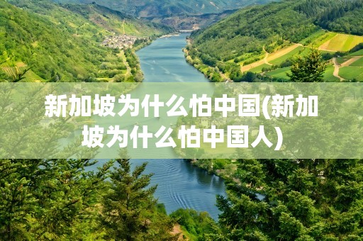 新加坡为什么怕中国(新加坡为什么怕中国人)