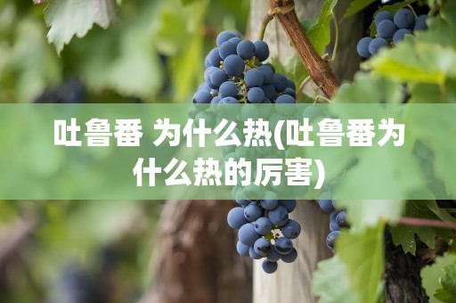 吐鲁番 为什么热(吐鲁番为什么热的厉害)