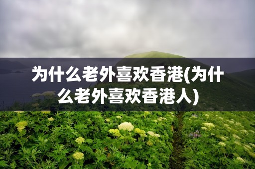 为什么老外喜欢香港(为什么老外喜欢香港人)