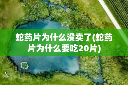 蛇药片为什么没卖了(蛇药片为什么要吃20片)