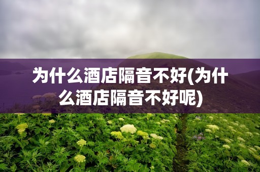 为什么酒店隔音不好(为什么酒店隔音不好呢)