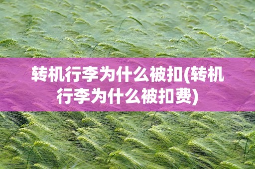 转机行李为什么被扣(转机行李为什么被扣费)