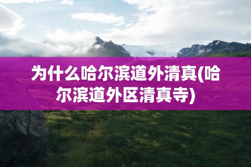 为什么哈尔滨道外清真(哈尔滨道外区清真寺)