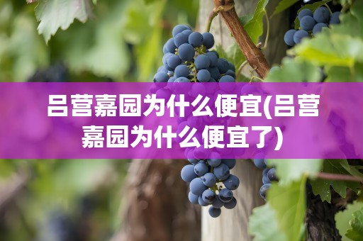 吕营嘉园为什么便宜(吕营嘉园为什么便宜了)