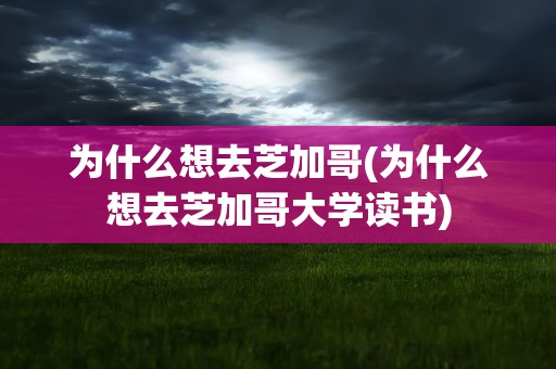 为什么想去芝加哥(为什么想去芝加哥大学读书)