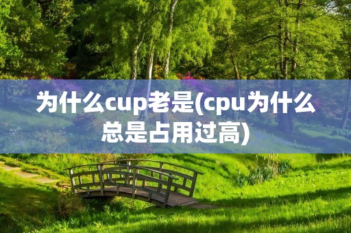 为什么cup老是(cpu为什么总是占用过高)