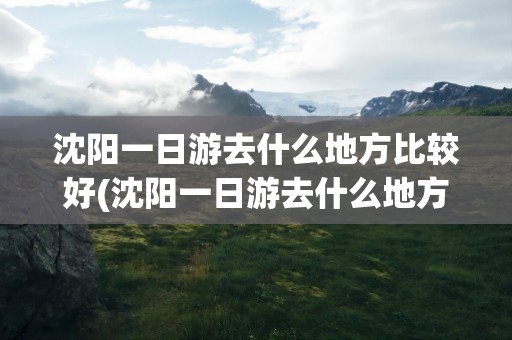 沈阳一日游去什么地方比较好(沈阳一日游去什么地方比较好玩)