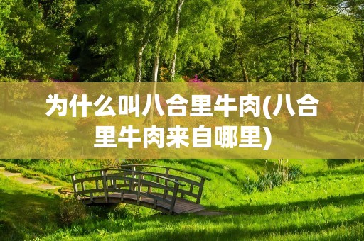 为什么叫八合里牛肉(八合里牛肉来自哪里)