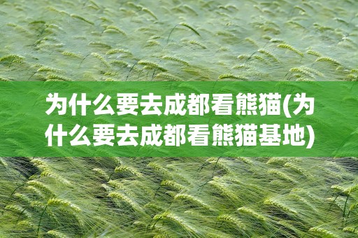 为什么要去成都看熊猫(为什么要去成都看熊猫基地)
