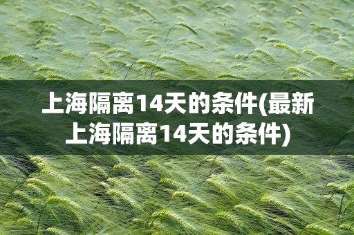 上海隔离14天的条件(最新上海隔离14天的条件)
