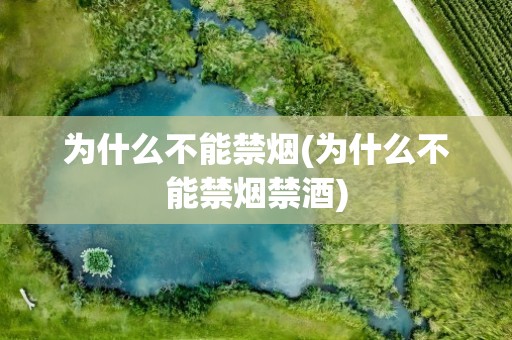 为什么不能禁烟(为什么不能禁烟禁酒)
