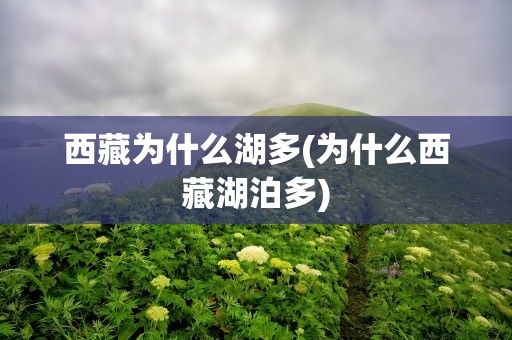 西藏为什么湖多(为什么西藏湖泊多)