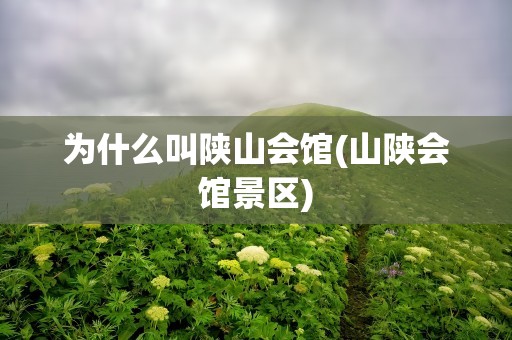 为什么叫陕山会馆(山陕会馆景区)