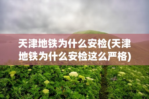 天津地铁为什么安检(天津地铁为什么安检这么严格)