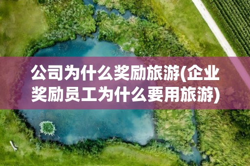 公司为什么奖励旅游(企业奖励员工为什么要用旅游)